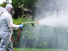 Disinfestazione CORONAVIRUS